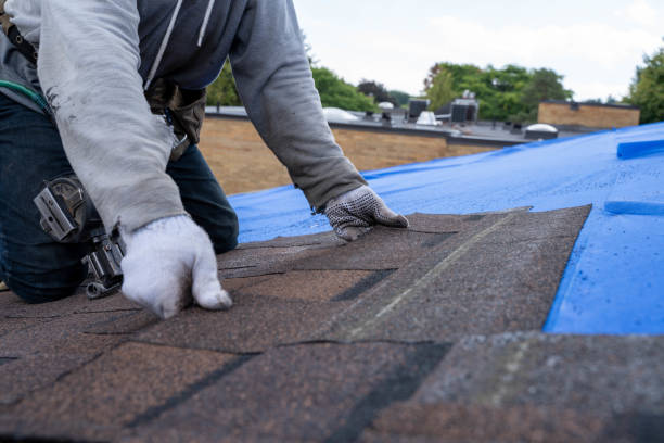 Best Commercial Roofing Services  in Pleasureville, KY